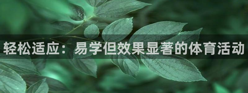 bbin视讯：轻松适应：易学但效果显著的体育活动