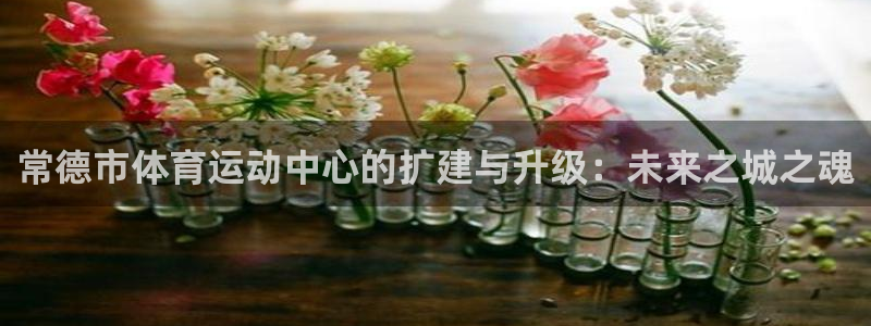 bbin视讯下：常德市体育运动中心的扩建与升级：未来之城之魂