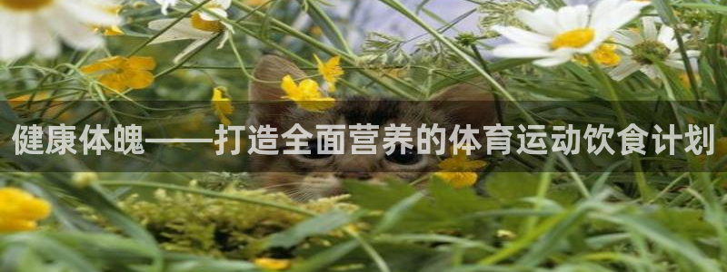 bbin视讯游戏平台：健康体魄——打造全面营养的体育运动饮食计划