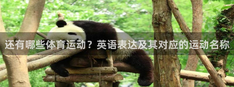 bbin视讯游戏平台：还有哪些体育运动？英语表达及其对应的运动名称