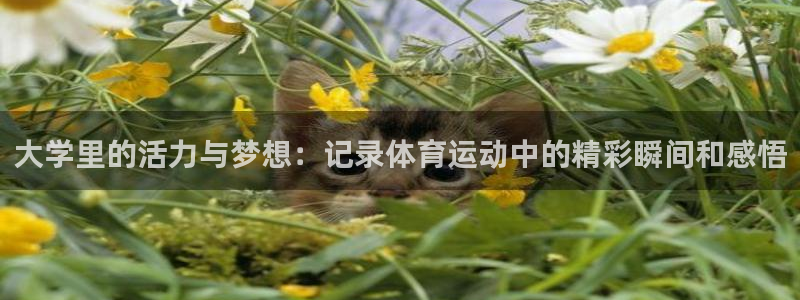 bbin视讯下：大学里的活力与梦想：记录体育运动中的精彩瞬间和感悟
