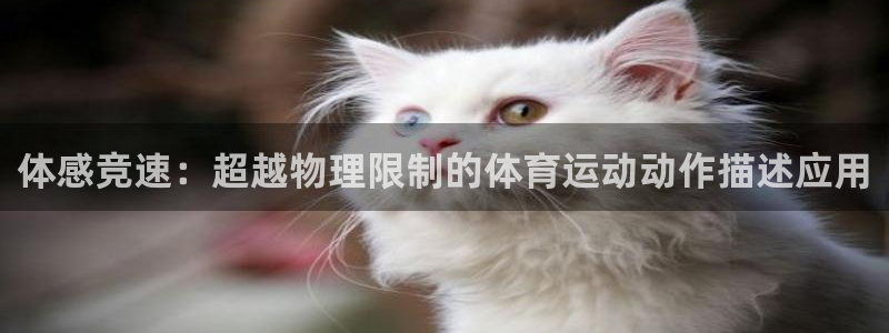 bbin视讯游戏官网：体感竞速：超越物理限制的体育运动动作描述应用