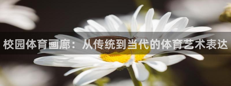 bbin视讯游戏平台：校园体育画廊：从传统到当代的体育艺术表达